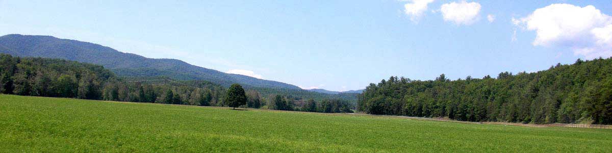 Computer & Electronics Repair Costs